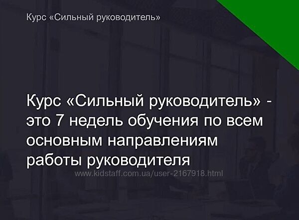 Сильный руководитель 4.0. Тариф VIP Константин Агалов