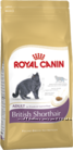 Корма Royal Canin для котов по породам