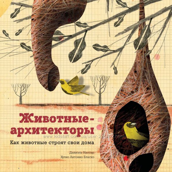 Как животные строят свои дома 