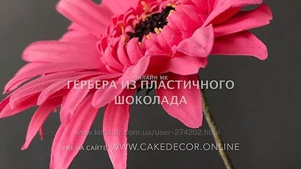 Гербера из пластичного шоколада Светлана Кузьмина