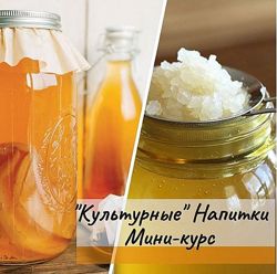 Культурные напитки мини-курс Анна Дроздова