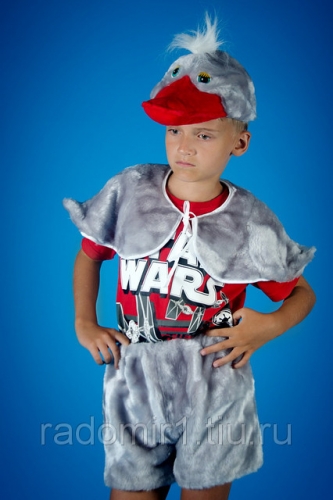 костюм гуся